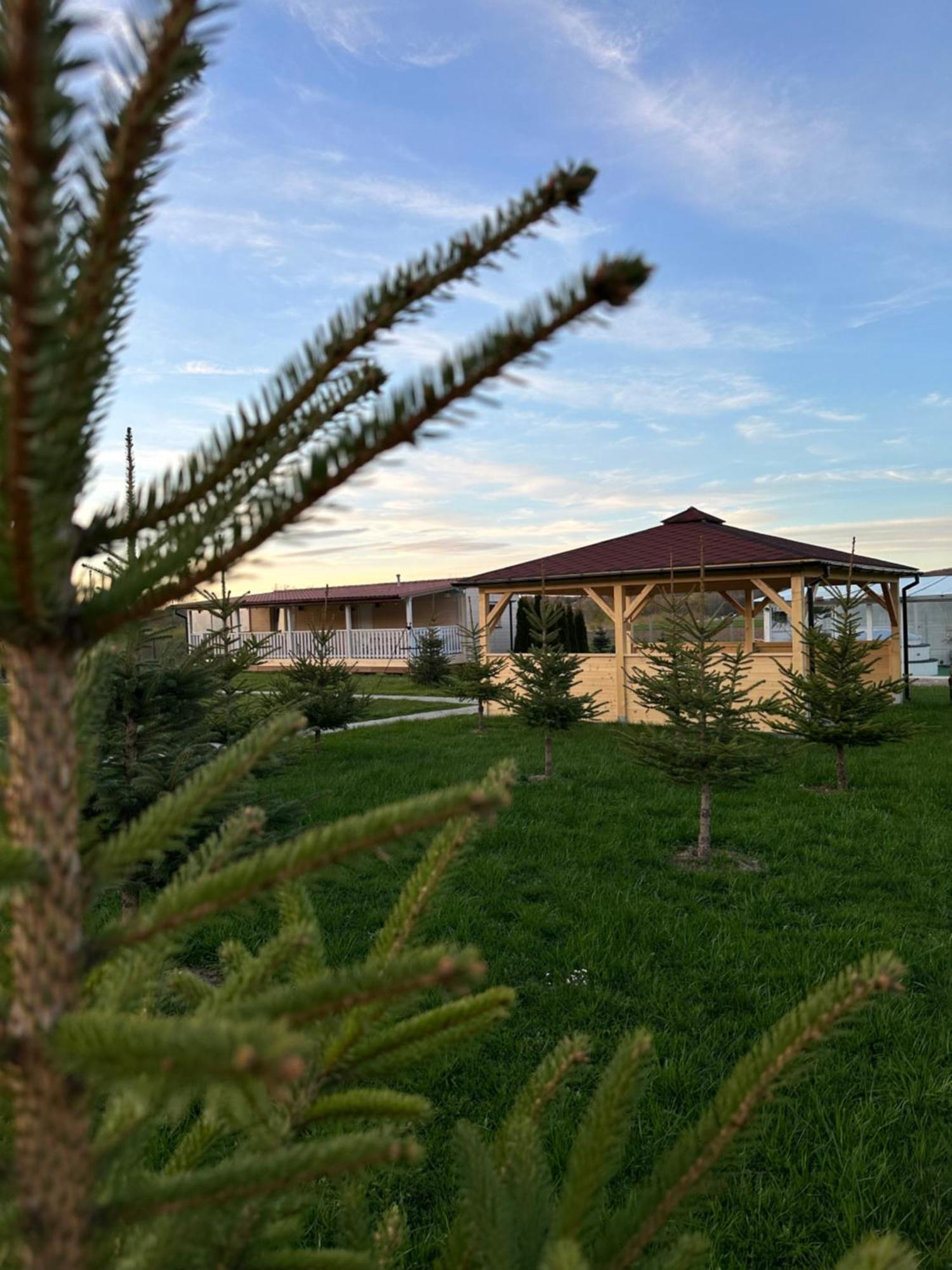 Domki Nad Sanem Bachorzec Dubiecko Exterior photo